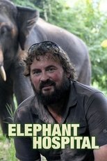 Elephant Hospital poster