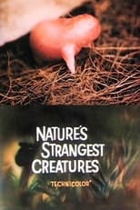 Poster for Nature's Strangest Creatures