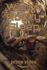 Project Hail Mary | Watch Rocky Sleep poster