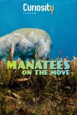 Poster for Manatees On The Move 