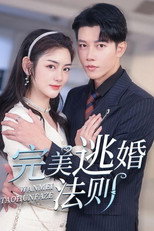 完美逃婚法则 poster