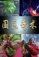 Nonton 国医奇术 (2019)