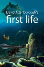 Poster di First Life – Alla scoperta delle origini della vita sulla Terra