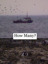 How Many?