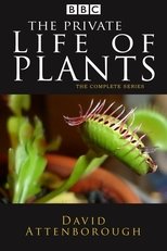 Poster for The Private Life of Plants Season 1