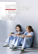 Poster for Grey's Anatomy Season 1