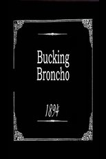 Bucking Broncho poster movie