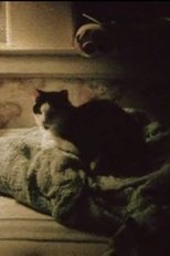 My Cat, My Garden, and 9/11 My Cat, My Garden, and 9/11