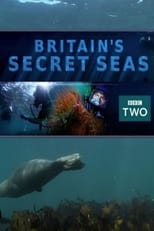 Poster di Britain's Secret Seas
