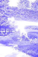Bleu subjectif