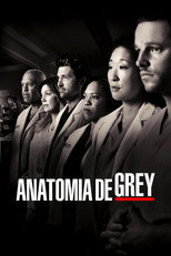 Grey’s Anatomy: 7ª Temporada