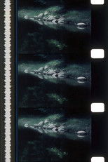 Rivers of Darkness / Rivers of Light