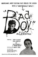 Poster for Bad Boy