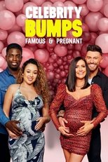 Celebrity Bumps: Famous & Pregnant poster image
