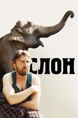 Poster for Elephant