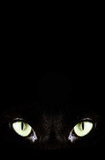 Halloween Claws poster