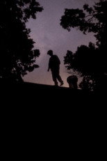 Finding Summer poster