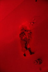 Roi Soleil (2018)