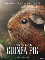 Poster for The Real Guinea Pig 