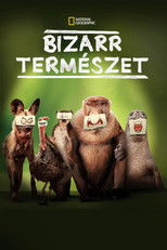 Bizarr természet