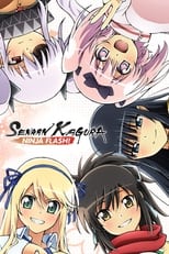 Poster for Senran Kagura: Ninja Flash