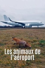 Airport Animal Stories poster movie