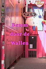 Bezem door de wallen poster
