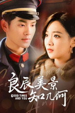 良辰美景知几何 poster