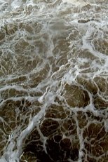 Hydroelectric Dam (2016)
