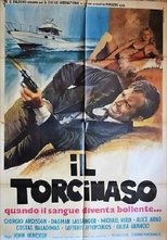 Poster for Il torcinaso