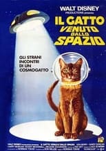 Poster di Il gatto venuto dallo spazio