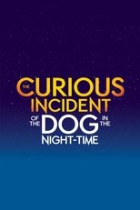 Poster for The Curious Incident of the Dog in the Night-Time 