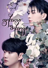 컬러 러쉬