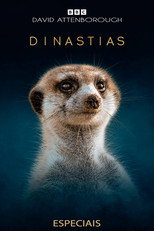 Pôster de Especiais — Dinastias