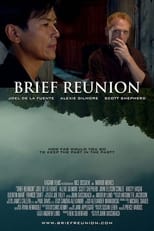 Poster for Brief Reunion