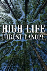 High Life: Forest Canopy