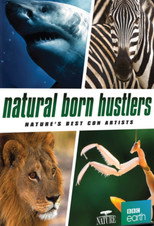 Natural Born Hustlers poster