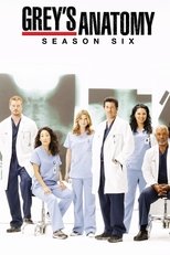 Poster for Grey's Anatomy Season 6