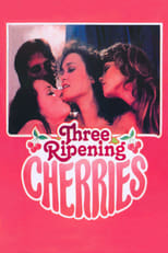 Three Ripening Cherries