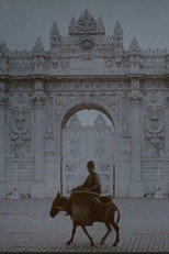 Türkei - Konstantinopel - Aufnahmen van Istanbul in Pathécolor