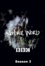 Poster for Natural World Season 3