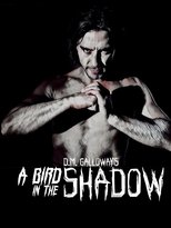 Poster for A Bird In The Shadow