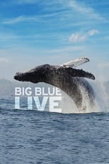 Poster for Big Blue Live