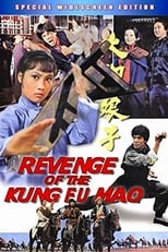 Poster for Revenge Of Kung Fu Mao