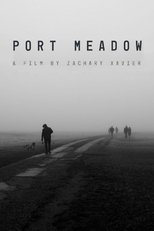 Port Meadow poster