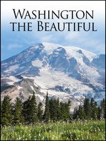 Washington the Beautiful