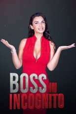 Boss in incognito (2014)