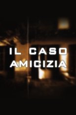 Il caso Amicizia (2008)