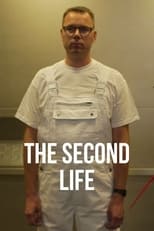 Poster for The Second Life 