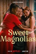 Poster for Sweet Magnolias Season 3